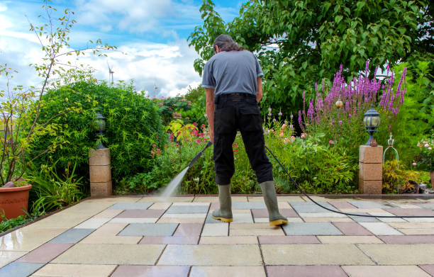 Animal Enclosure Cleaning in Mount Pleasant, MI